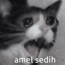 Amel Amel Sedih GIF - Amel Amel Sedih Sedih Amel GIFs