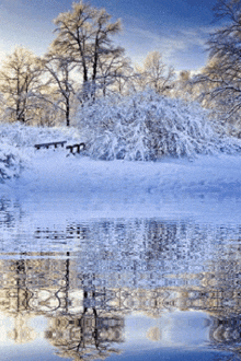 зима природа GIF - зима природа GIFs