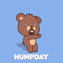 a cartoon teddy bear says humpday in white letters on a blue background