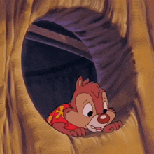 Chip And Dale Rescue Rangers Chipndale GIF
