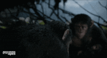 Planet Of The Apes Caesar GIF - Planet Of The Apes Caesar Turn Around GIFs