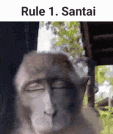 Rule Santai GIF - Rule Santai Anjim GIFs