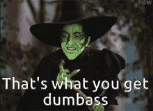 Witch Wizard Of Oz GIF - Witch Wizard Of Oz Thats What You Get GIFs