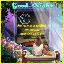 a picture of a woman sitting on a bench with a dog and a quote that says " good night "