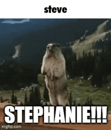 a ground squirrel standing on its hind legs with the words steve stephanie written below it