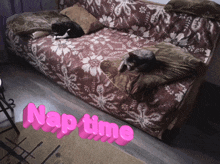two cats laying on a couch with nap time written on the floor