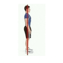 Boing Posture GIF - Boing Posture Bounce GIFs