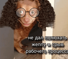 a dog wearing glasses and a wig says he does n't want to do anything