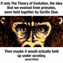 evolution gorilla gorilla glue it would hold up