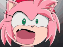 Sonic X Amy Amy Rose GIF - Sonic X Amy Amy Rose Amy Rose Yell GIFs