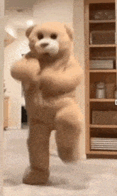 Bear Bear Dancin GIF - Bear Bear Dancin Grooving GIFs