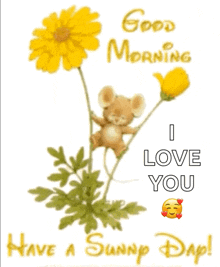 Good Morning Sunny Day GIF - Good Morning Sunny Day Mice GIFs