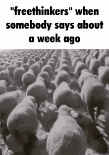Freethinkers Freethinkers When Somebody Says About A Week Ago GIF