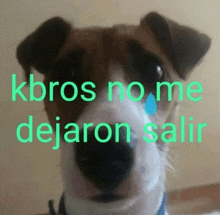 a dog with a tear coming out of its eye and the words kbros no me dejaron salir above it