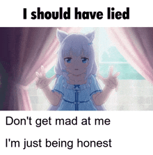 a picture of a cat girl with the words " i should have lied "