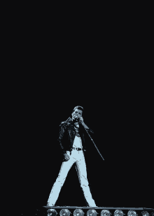 Queen Freddie Mercury GIF - Queen Freddie Mercury Performer GIFs
