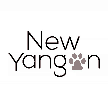 New Yangon Foundation Nyf GIF