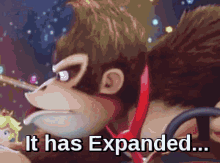 Donkey Kong Gorilla GIF