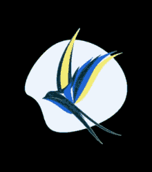 a bird with blue and yellow feathers is flying over a white circle .