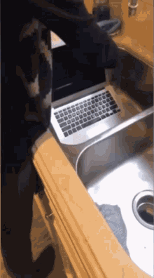 Laptop Washing Idiot GIF - Laptop Washing Idiot Laptop Ruined GIFs