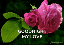 Goodnight Love GIF - Goodnight Love Sparkles GIFs