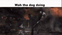 Bloodborne Dog GIF - Bloodborne Dog What The Dog Doing GIFs