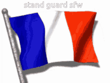 Pjj2sfw Stand Guard Sfw GIF - Pjj2sfw Stand Guard Sfw GIFs