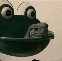 Sapo Frog GIF