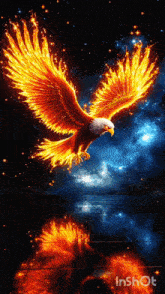 a painting of an eagle with flames coming out of its wings against a starry sky