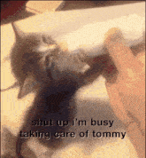 Tommy Boyfriend GIF - Tommy Boyfriend Tommyily GIFs