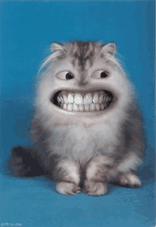 smile big smile cats creepy big teeth