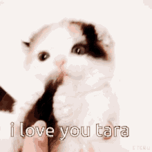 Tara I Love You Tara GIF