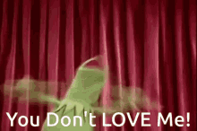 Mad Kermit GIF - Mad Kermit You Dont Love Me GIFs