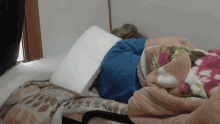 Ricardo Ohara Sleeping GIF - Ricardo Ohara Sleeping GIFs