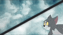 a cartoon cat is standing in front of a cloudy sky and looking at the camera .