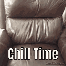 Funny Animals Chill Out GIF - Funny Animals Chill Out Chill Time GIFs