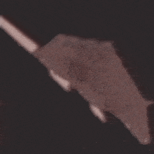Rat Mouse GIF - Rat Mouse Spinning GIFs
