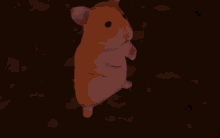 Hamster Disappear GIF - Hamster Disappear Leave GIFs