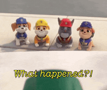 Rubble And Crew What Happened GIF - Rubble And Crew What Happened Shocked GIFs