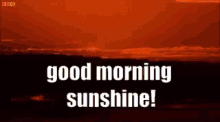 Good Morning Sunshine GIF
