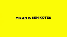 Milan Koter GIF - Milan Koter Milan Is Een Koter GIFs
