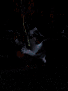 a cat is playing with a yellow toy on a carpet