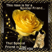 a card with a yellow rose and a kitten that says this rose is for a special friend