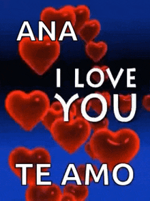 a bunch of red hearts with the words `` ana i love you te amo '' on a blue background .