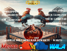 two roosters are fighting in a boxing ring with the words meron vs wala