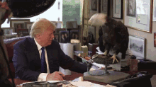 Trump Eagle GIF - Trump Eagle Attack GIFs