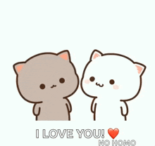 a couple of cats kissing each other with the words `` i love you ! no homo '' .