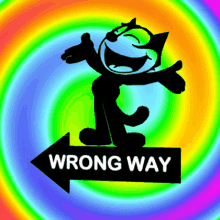 Right Way Wrong Way GIF - Right Way Wrong Way Right Manner GIFs