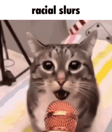 a cat is singing into a microphone with the caption racial slurs