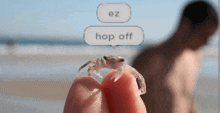Hop Off Crab GIF